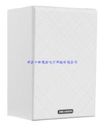 10W壁挂音箱（白）-副